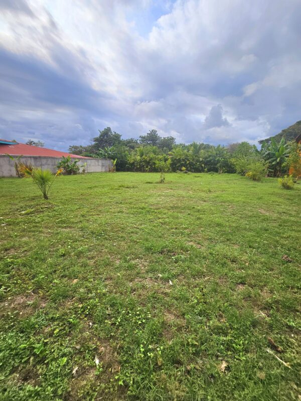 Jardín Dorado - Imagen 2