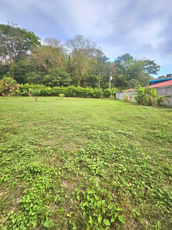 Jardín Dorado - Imagen 3