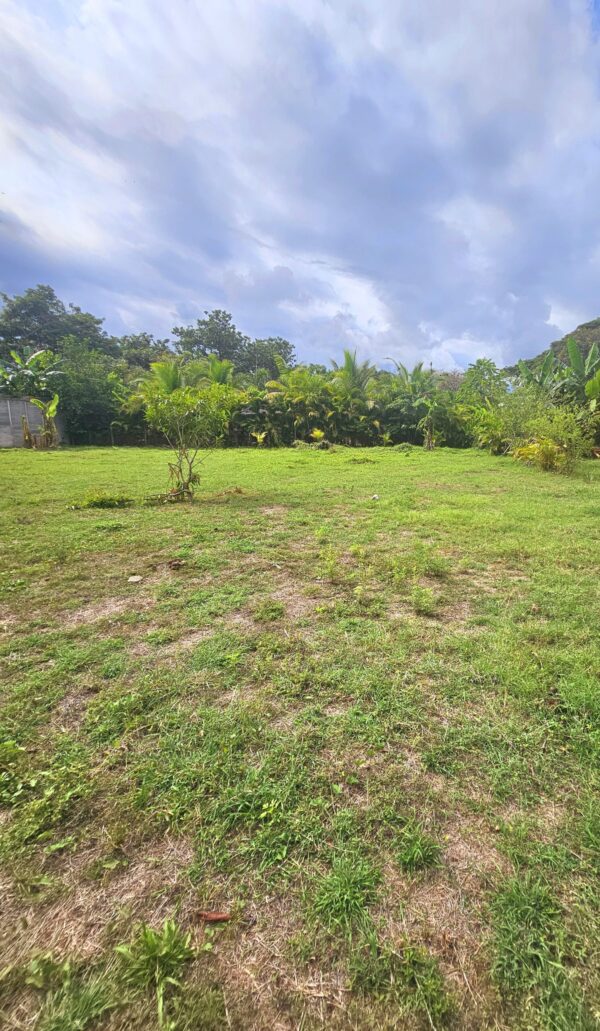 Jardín Dorado - Imagen 4