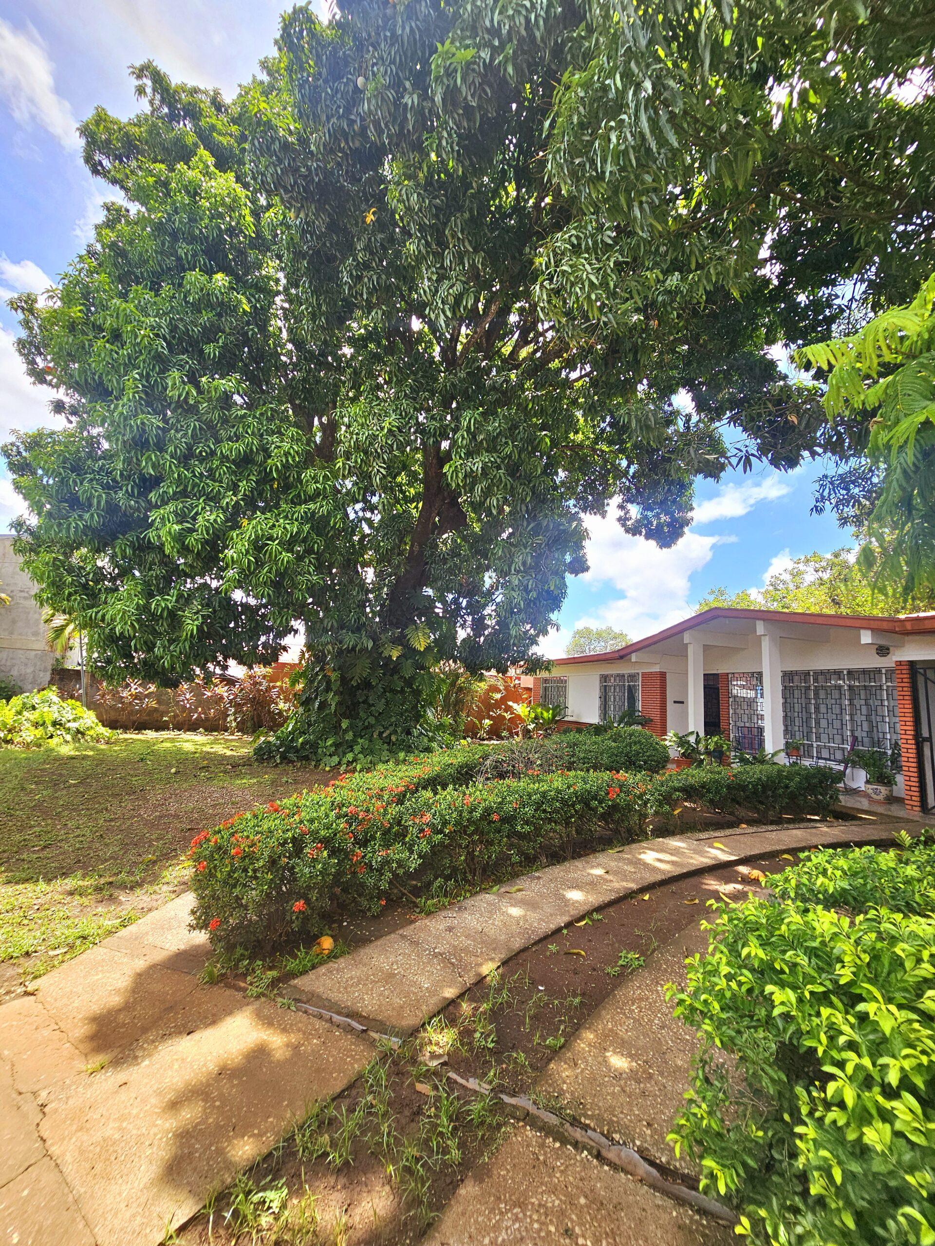 Casa Irma - Imagen 6