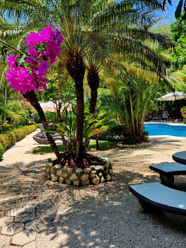 Hotel Belvedere - Imagen 2