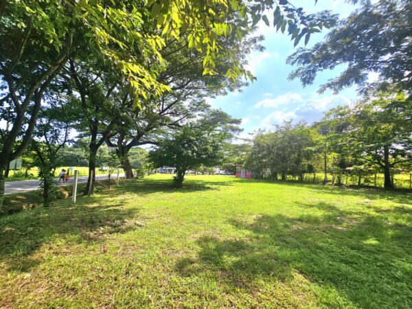 Lote Cielo Azul - Imagen 3
