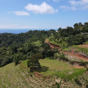 Bocas del Toro