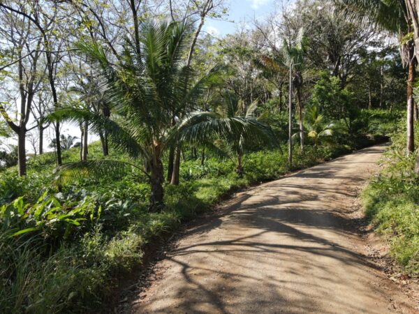 Paraíso Tropical