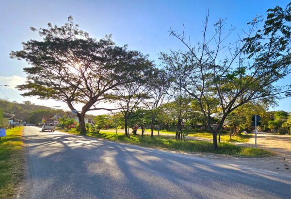 Lote Cielo Azul - Imagen 6