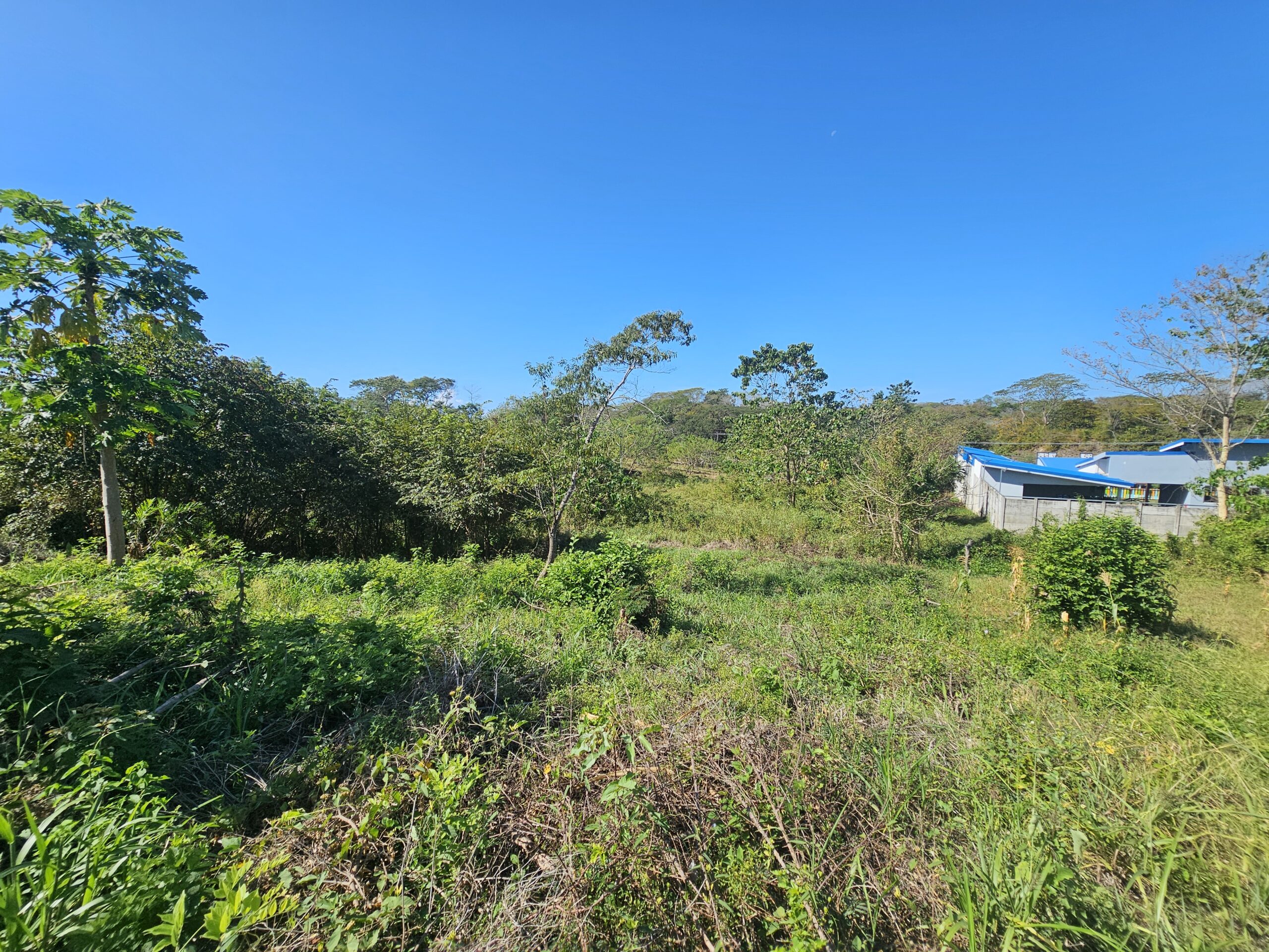 Vista Buena - Imagen 3