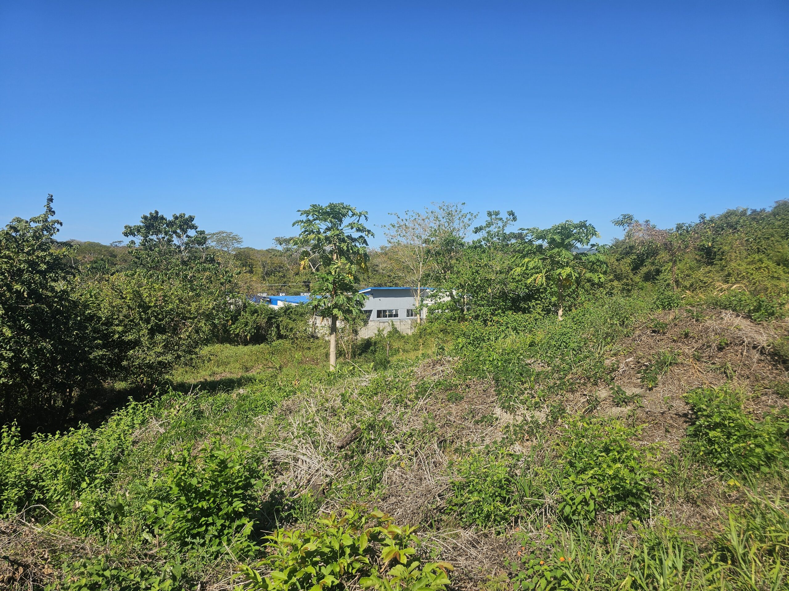 Vista Buena - Imagen 4